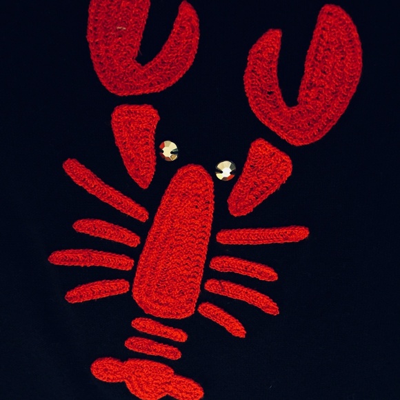 NEW! J. Crew Navy 100% Cotton Classic Lobster Teddie Sweater | XXS - Picture 5 of 8